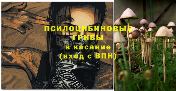 крисы Абдулино